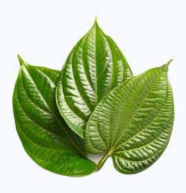 Fresh Betel Leaf