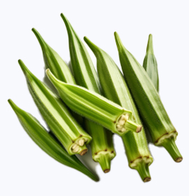 Okra