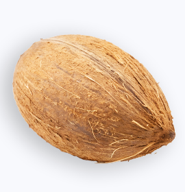 Coconut