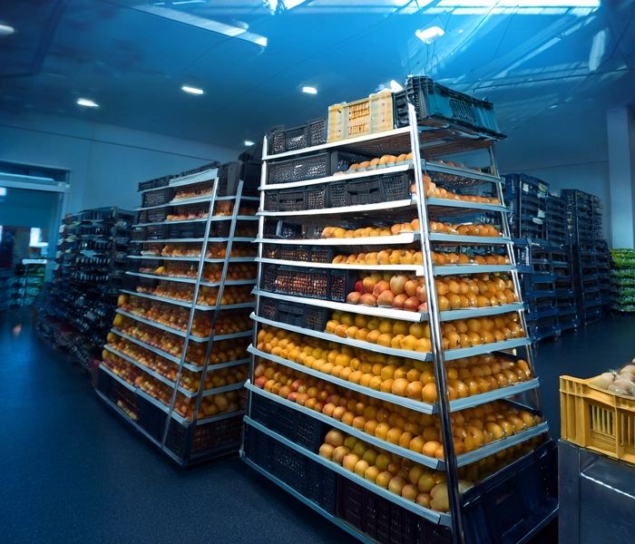 Importing exotic fruits and vegetables to India by ASH Fruits